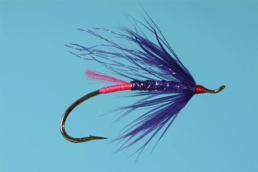 Duddle's Magic - Purple fly