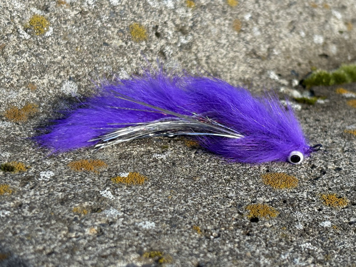 Solitude Fly Exasperator, Steelhead - Purple steelhead fly