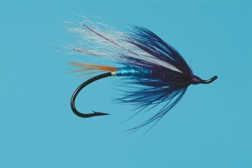 Larimer's Fierce Allegiance fly