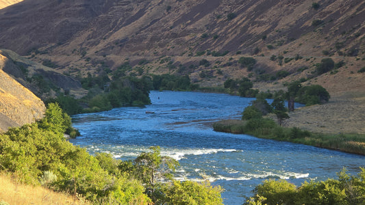 Staff Journal: River Runs