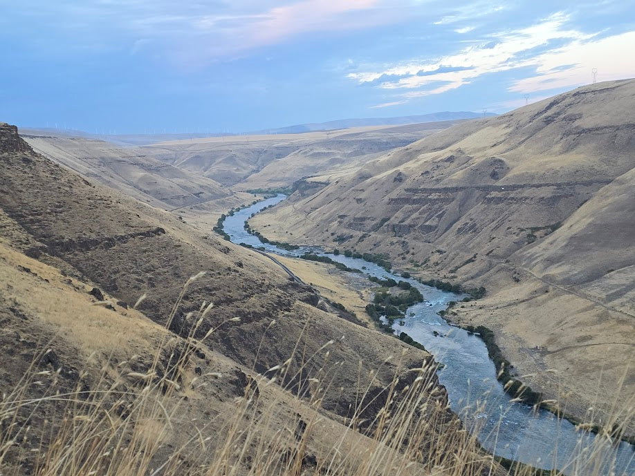 Outcast OSG Striker - Blue