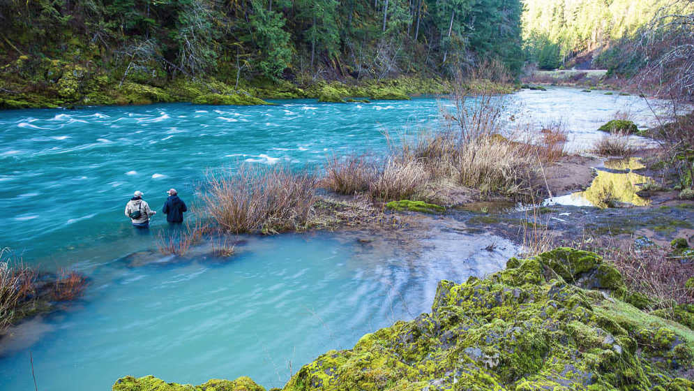 Two people fishing in a clear blue river surrounded by greenery