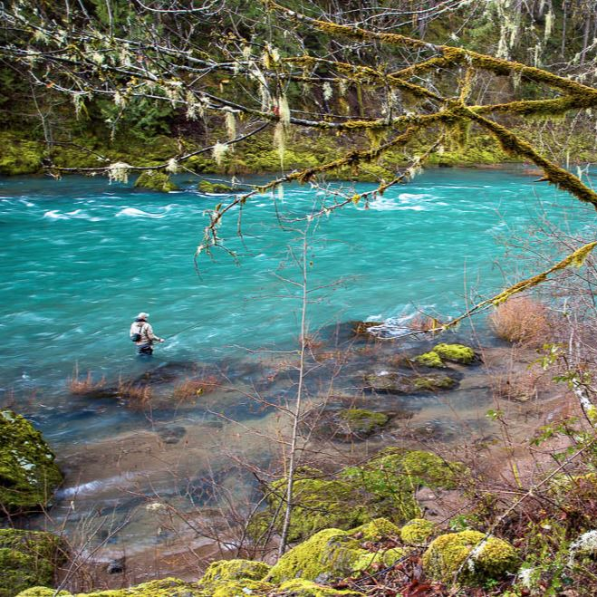 Angler steelhead fly fishing - clear blue Norht Umpqua River