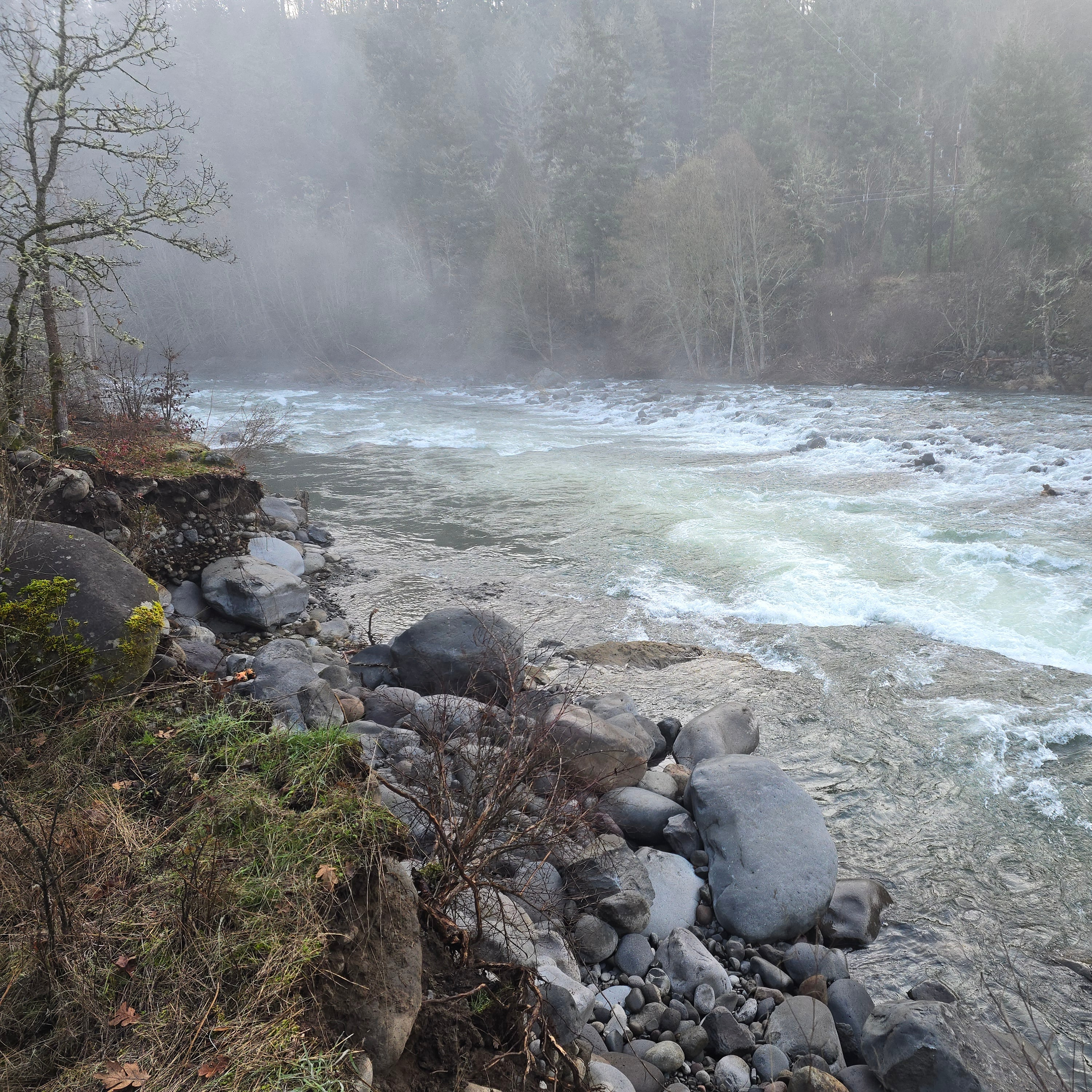 Raging river with rocky banks and misty forest in the background