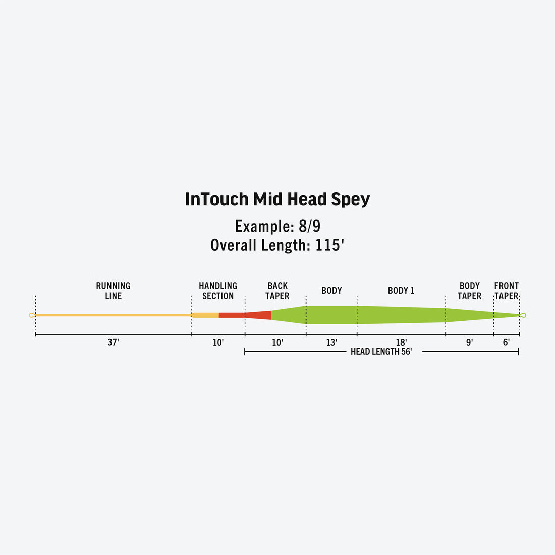 Diagram of InTouch Mid Head Spey with labeled sections and measurements on a white background