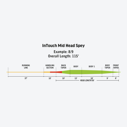 Diagram of InTouch Mid Head Spey with labeled sections and measurements on a white background