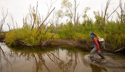 Fishpond Wind River Roll-Top Backpack - Eco Shale