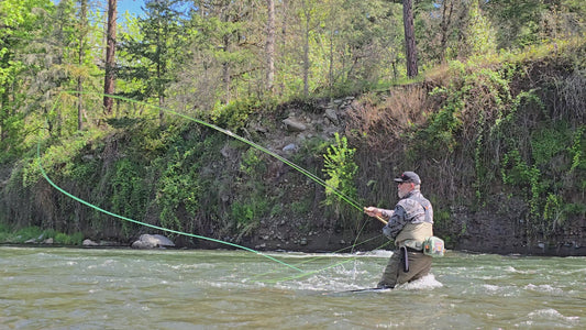 Bunny Hare Leech - Black Blue