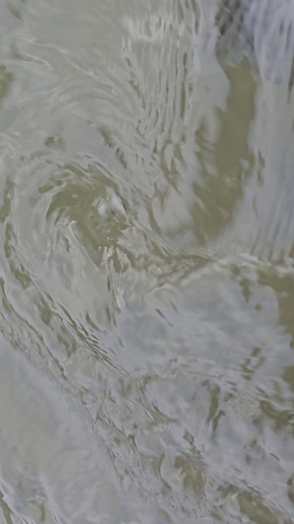 Stu's Ostrich Intruder - Blue / Purple