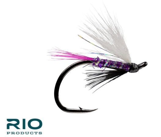 Last Call - Purple #4 fly