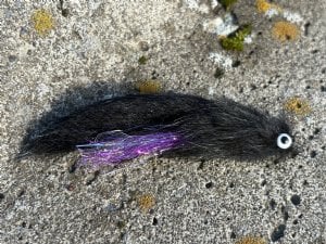 Exasperator, Steelhead - Black Purple